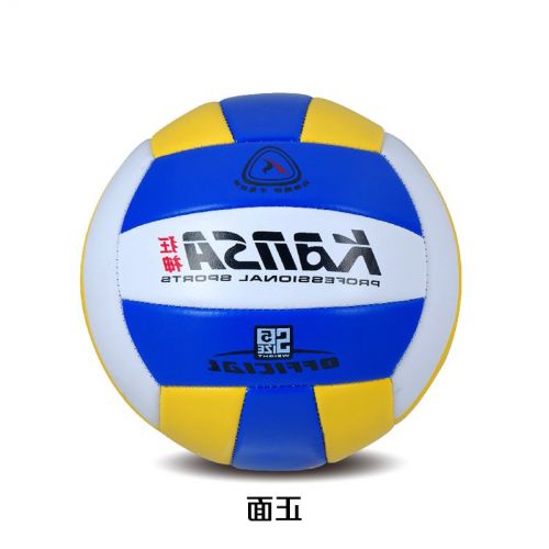 Ballon de volley - Ref 2008465