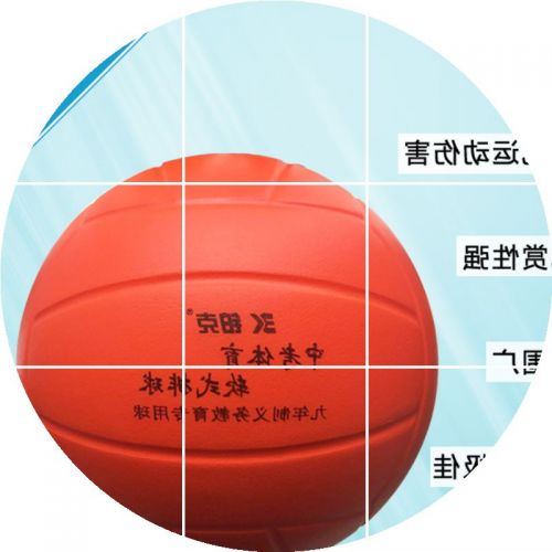 Ballon de volley - Ref 2008479