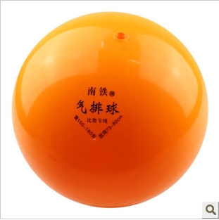 Ballon de volley - Ref 2008487