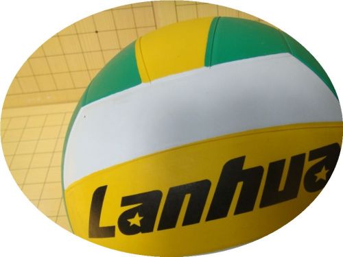 Ballon de volley - Ref 2008497