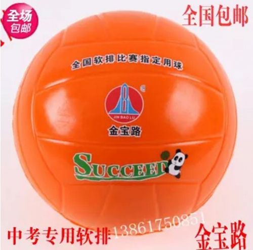Ballon de volley - Ref 2008524
