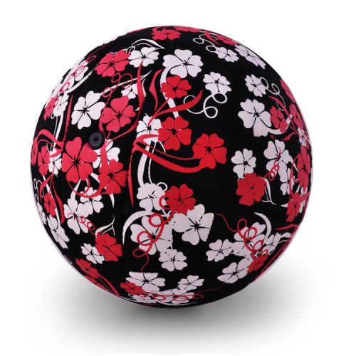 Ballon de volley - Ref 2008540