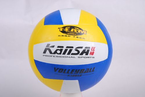 Ballon de volley - Ref 2008549