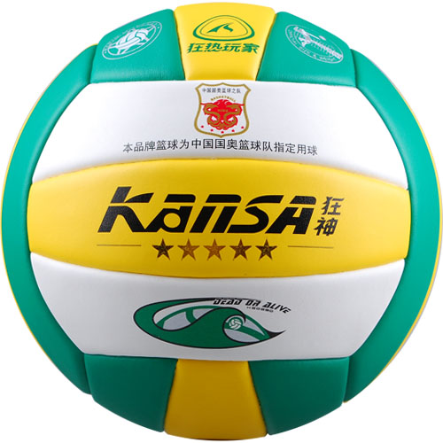 Ballon de volley - Ref 2008550