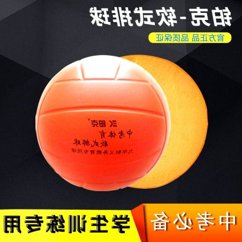 Ballon de volley - Ref 2008560