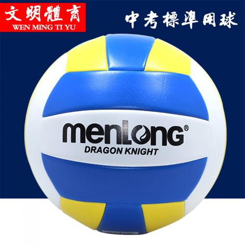 Ballon de volley - Ref 2008561