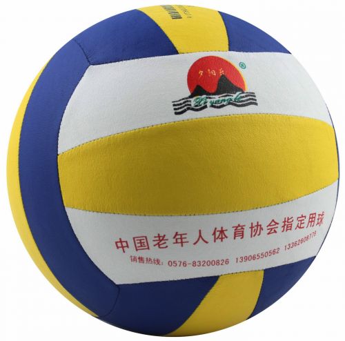 Ballon de volley - Ref 2008563