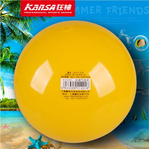 Ballon de volley - Ref 2008585