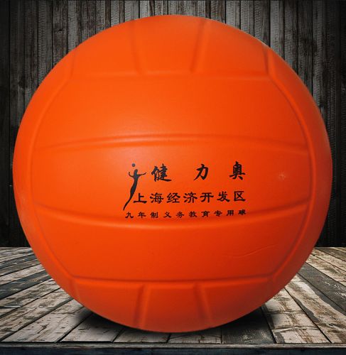 Ballon de volley - Ref 2008623