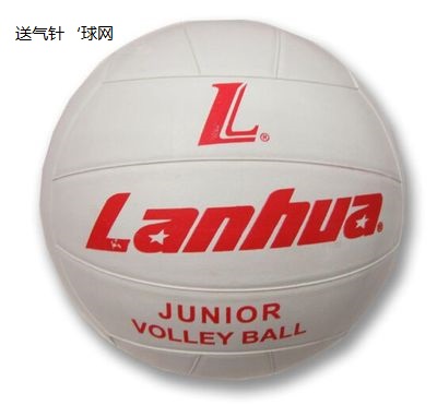 Ballon de volley - Ref 2008630