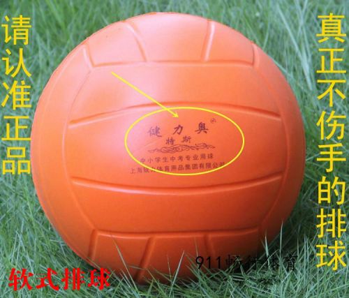 Ballon de volley - Ref 2008649