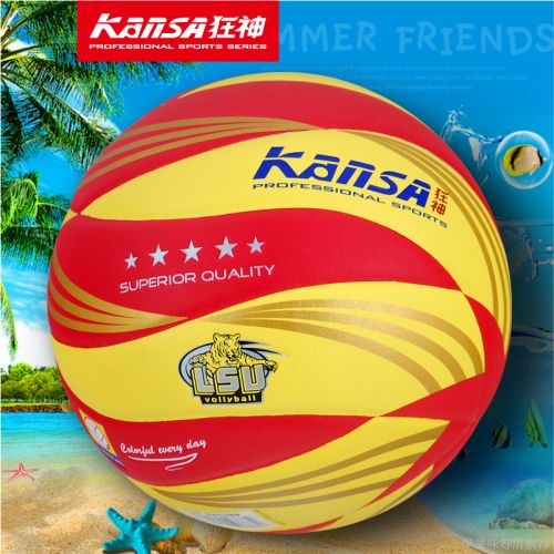 Ballon de volley - Ref 2008665