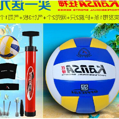 Ballon de volley - Ref 2008683
