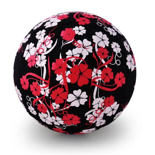 Ballon de volley - Ref 2008692