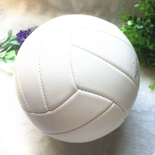 Ballon de volley - Ref 2008710