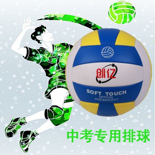 Ballon de volley - Ref 2008720