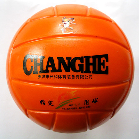 Ballon de volley - Ref 2008768
