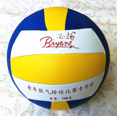 Ballon de volley - Ref 2008776