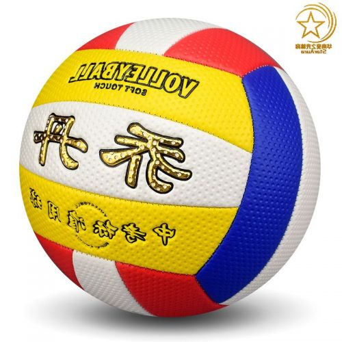 Ballon de volley - Ref 2008809