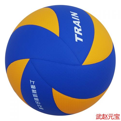 Ballon de volley TRAIN - Ref 2008846