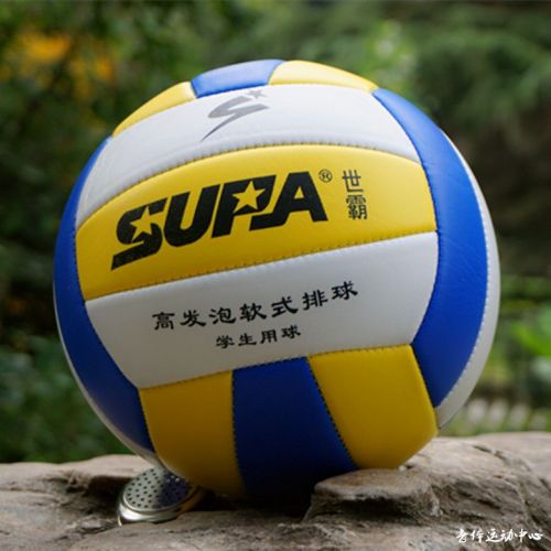 Ballon de volley - Ref 2008918
