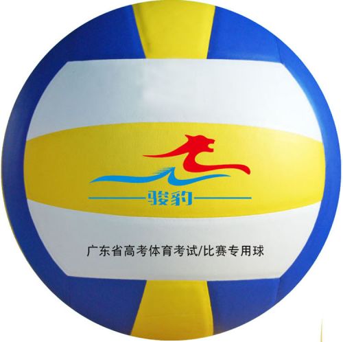 Ballon de volley - Ref 2008930