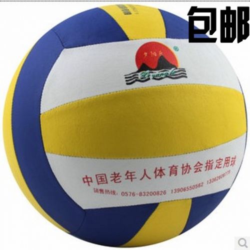 Ballon de volley - Ref 2008952