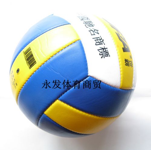 Ballon de volley - Ref 2008984