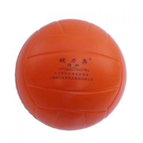Ballon de volley - Ref 2009003