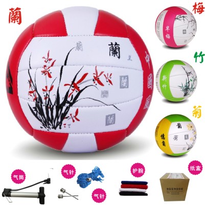 Ballon de volley - Ref 2009013