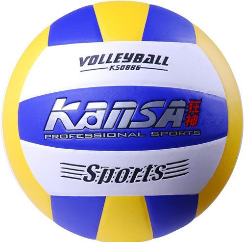 Ballon de volley - Ref 2009015