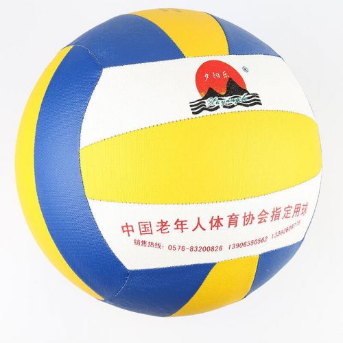 Ballon de volley - Ref 2009017