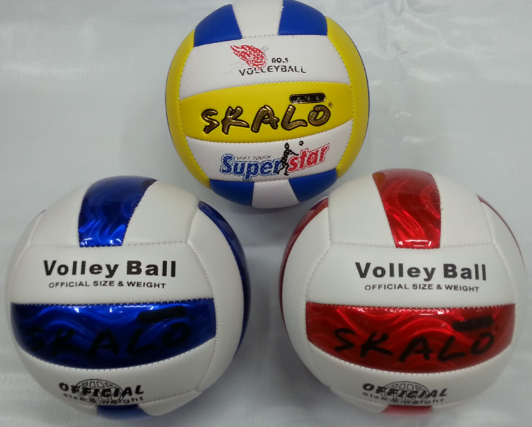 Ballon de volley - Ref 2009030