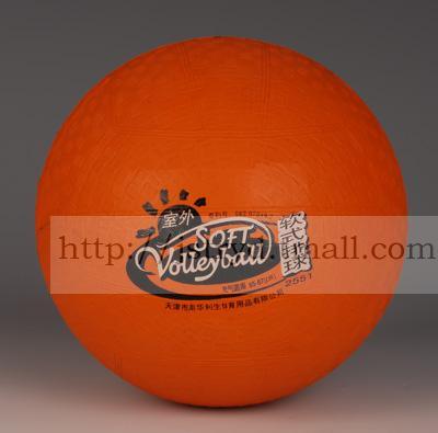 Ballon de volley - Ref 2009034