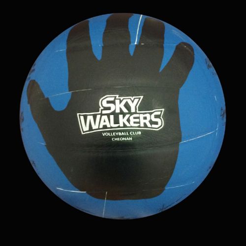 Ballon de volley - Ref 2009037