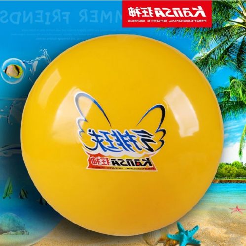 Ballon de volley - Ref 2009038
