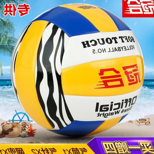 Ballon de volley - Ref 2009060