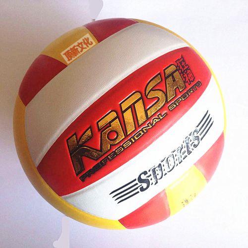 Ballon de volley - Ref 2009063
