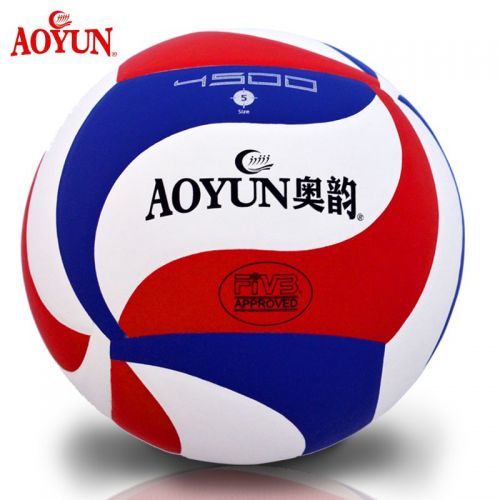 Ballon de volley - Ref 2009096