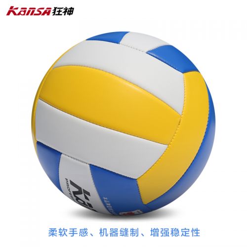Ballon de volley - Ref 2009102