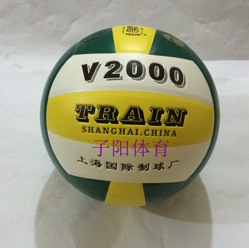 Ballon de volley - Ref 2009117