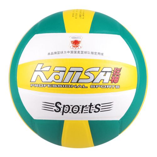 Ballon de volley - Ref 2009118
