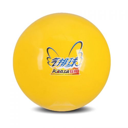 Ballon de volley - Ref 2009139