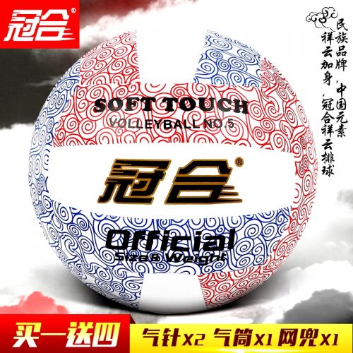 Ballon de volley - Ref 2009140