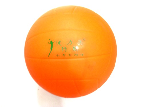 Ballon de volley - Ref 2009142