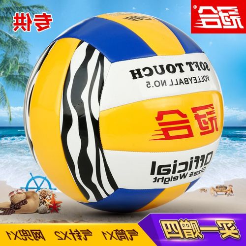 Ballon de volley - Ref 2009151