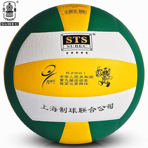 Ballon de volley - Ref 2009154