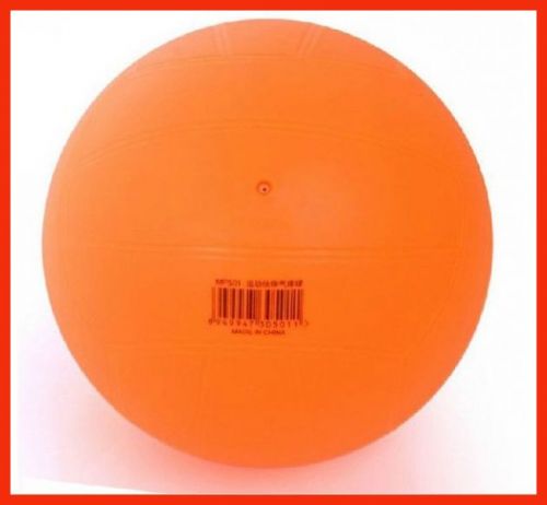 Ballon de volley - Ref 2009155