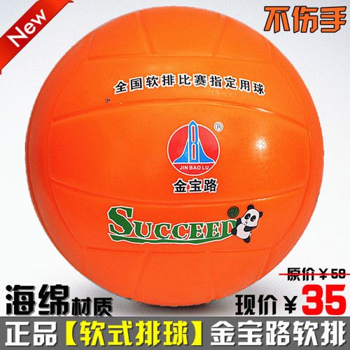 Ballon de volley - Ref 2009165