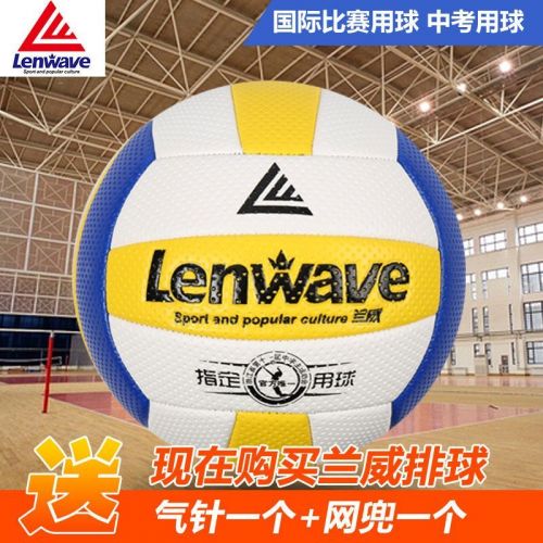 Ballon de volley - Ref 2009188